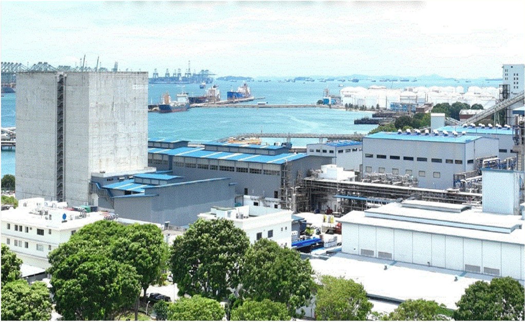 Plant Expansion Works for Coim
